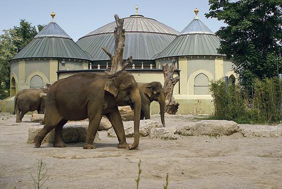 In den 70er-Jahren wurde das beliebte Elefantenhaus in Hellabrunn gebaut. Foto: Tierpark Hellabrunn