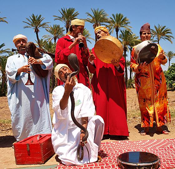 Die Bruderschaft der Aissaoua von Marrakesch vollziehen eine Hadra mit ihren Schlangen. 	Foto: Marion Beckhäuser