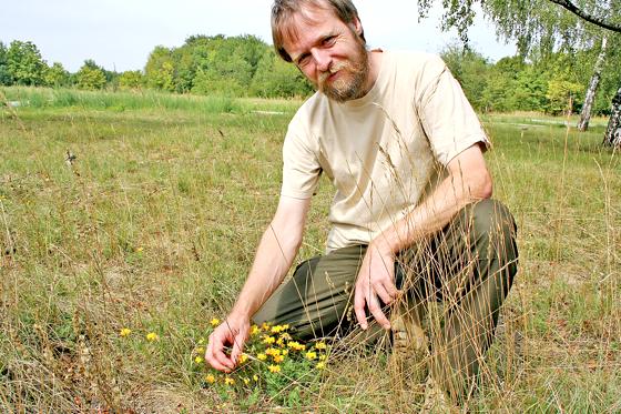 Der gelbe Hornklee wächst im Virginia-Depot, wie Diplom-Biologe Christian Köbele voller Stolz zeigt. Bei einer Führung kann man die Naturschätze in dem ehemaligen Kasernengelände kennenlernen.	Foto: ws