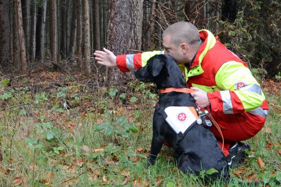 Ein angehender Rettungshund beim Training: In München suchen die Johanniter nun Nachwuchs für die Rettungshundearbeit.	Foto: Johanniter/Julia Fritsch