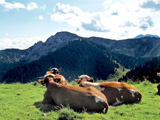 EIn Blick in die bayerischen Berge entspannt kolossal, und das nicht nur die vielen Touristen in Bayern. 	Foto: hw