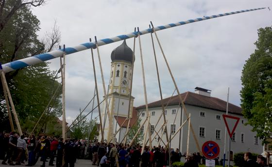 Am 1. Mai ist Zupacken angesagt, wenn in Bayern mit Schwaiberl und Muskelkraft die Traditionsstangerl aufgestellt werden. 	Foto: Stefan Dohl