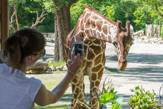 Der Tierpark Hellabrunn kommt bei seinen Besuchern hervorragend an.	Foto: Marc Müller