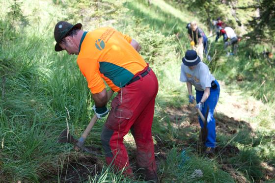 Der Alpenverein sorgte mit 124 freiwilligen Helfern dafür, dass die wichtige Schutzfunktion des Waldes nicht verloren geht. 	Foto: DAV / Marco Kost