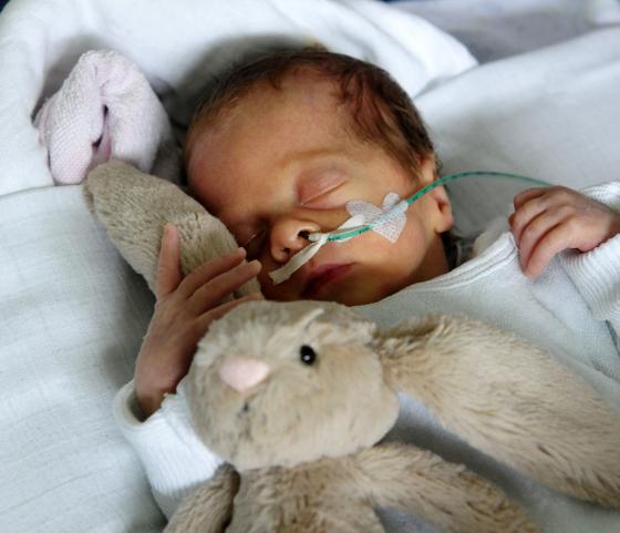 Für Babies wie Philippa wurde das Programm »Harl.e.kin« ins Leben gerufen. 	Foto: VA