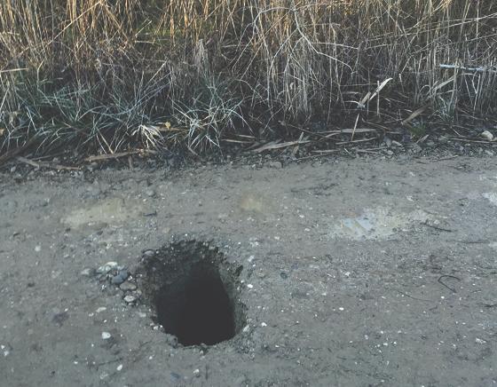 Gefährlich ist das von Bibern verursachte Loch im Weg. Eine Uferverbauung wäre zu teuer.	Foto: VA
