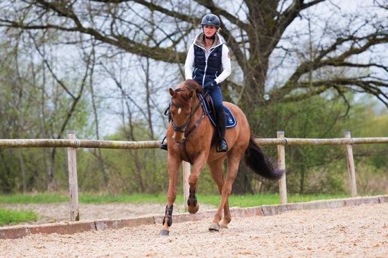 Mit Little Lucy will Simone Blum auf der Pferd International starten, die Stute ist für die Youngsters Tour geplant.	Fotos: Claudia Rahlmeier