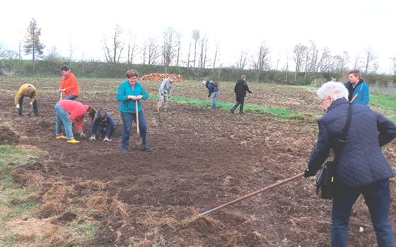 Voller Eifer sind die Mitstreiter des Krautgartenprojekt dabei, den Boden nutzbar zu machen.	Foto: VA