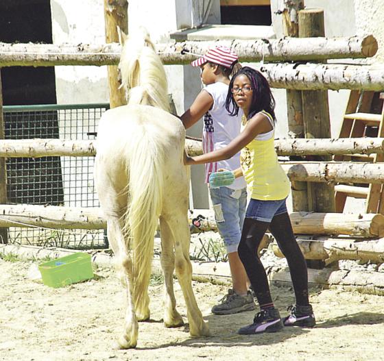 Jede Menge Spaß für Kinder zwischen 8 und 15 Jahren in Ungarn auf dem Pferdehof. 	Foto: VA