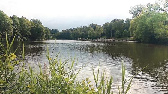 Gleich acht Seen laden im Landkreis zum Badevergnügen ein. Der Ebersberger Klostersee hat den Vorteil der zentralen Erreichbarkeit.	Foto: Stefan Dohl