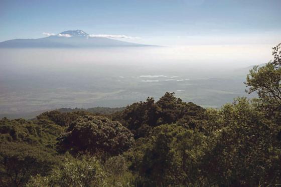 Jörn Plagmann hat bei einer Afrika-Reise die atemberaubende Schönheit der Landschaft rund um den Kilimandscharo eingefangen.                                                             Foto: Jörn Plagmann