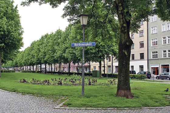 Haidhausen ist grün? Nicht überall: Im Stadtbezirk 5 gibt es immer weniger Bäume. Der BA will gegensteuern.	Foto: js