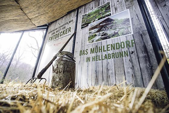 Das Mühlendorf wird ein wichtiges Projekt des Tierparks, denn auch in unseren Breiten sind viele Tiere vom Aussterben bedroht.	Foto: Marc Müller
