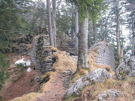 Eine Wanderung zur Ruine Hohenwaldeck heißt 240 Höhenmeter überwinden.	Foto: SVN