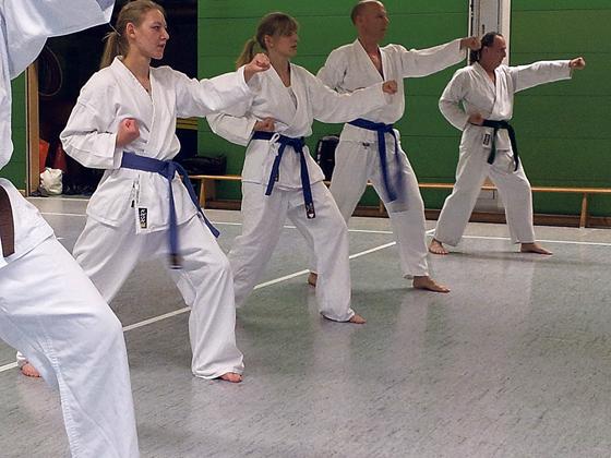 Körperliche Stärke ist beim Karate nicht alles. Auch mentale Kraft ist gefragt.	Foto: SV Olympiadorf Concordia e.V.