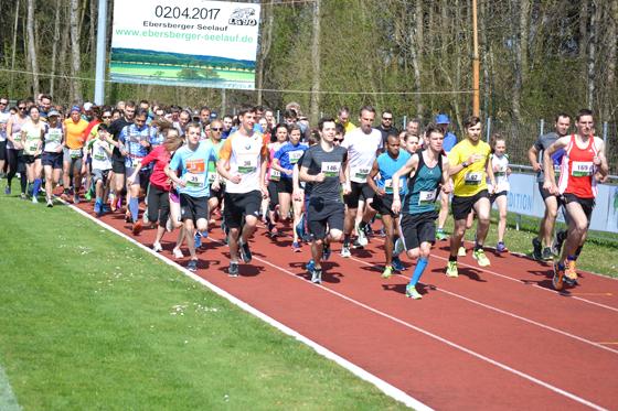 500 Läufer waren heuer beim Ebersberger Seelauf vertreten. Foto: LG 90 Ebersberg-Grafing