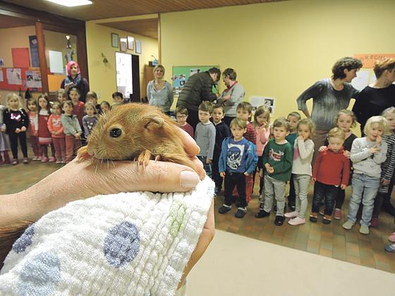 Das Eichhörnchen Otto besuchte kürzlich die Kinder vom Kindergarten St. Otto.	Foto: VA