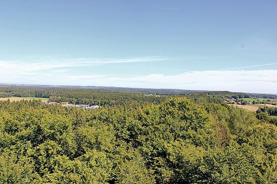 Die Schutzgemeinschaft Ebersberger Forst will um den Erhalt der »grünen Lunge« des Landkreises kämpfen. 	Foto: sd
