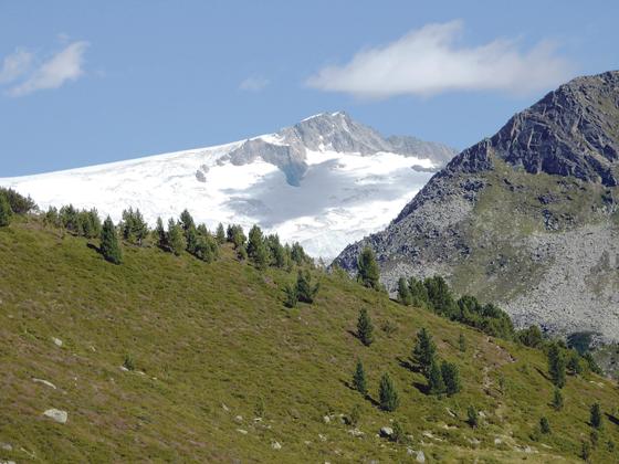 Der Sommer in den Bergen ist kurz, aber intensiv  wie hier am Schwarzenstein in den Zillertaler Alpen. 	Foto: Otto Hartl