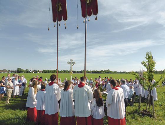 120 Gläubige des Pfarrverbands kamen zur feierlichen Mai-Andacht unter freiem Himmel. 	Foto: VA