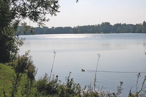 Der Feldmochinger See ist nach Angaben der Stadtverwaltung hygienisch unbedenklich  wie alle anderen Badeseen im Stadtgebiet auch.	Foto: Archiv