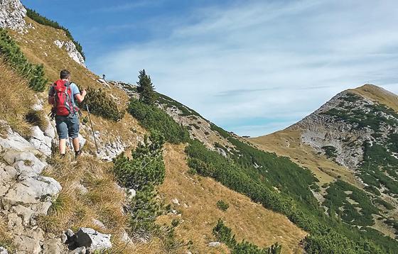 Die Tour auf den Krottenkopf (2.086 m) ist ganz schön anstrengend. Dafür ist man allerdings häufig allein unterwegs.	Foto: Stefan Dohl