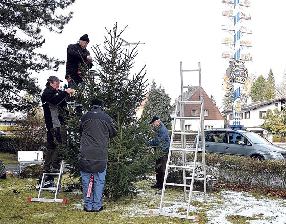 Liebevoll wird der Christbaum vor St. Peter und Paul von den Truderinger Böllerschützen geschmückt.	Foto: privat