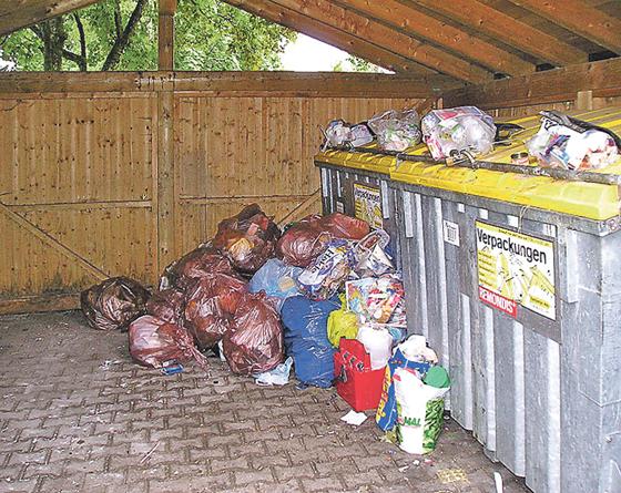 Kein festlicher Anblick. Gerade in der Weihnachtszeit wird Müll zu einem großem Problem. 	Foto: Landratsamt
