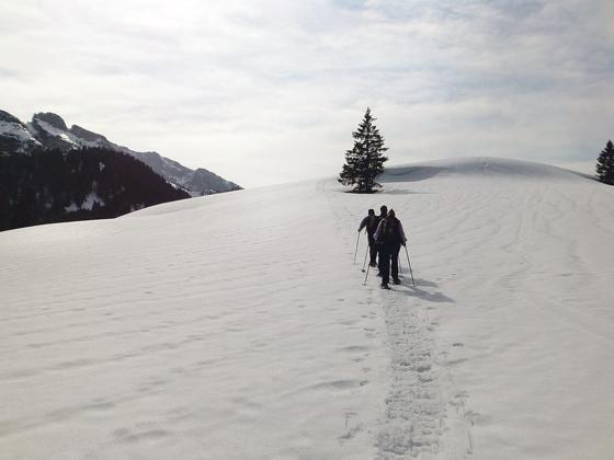 Beim Schneeschuhwandern kann man die unberührte  winterliche Bergwelt für sich entdecken. 	Foto: Verein
