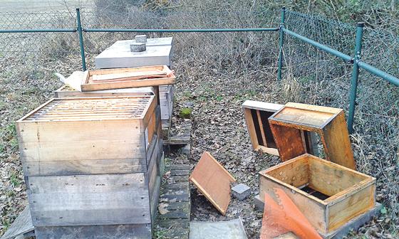 Wer tut so etwas? Einer der beschädigten Bienenstände am Waldfriedhof.	Foto: Stadt Unterschleißheim