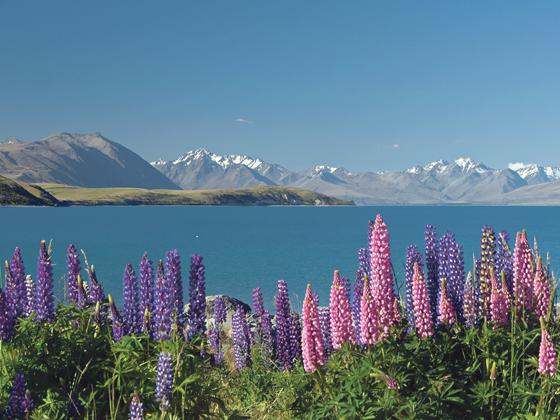 Margit und Holger Hiller zeigen beeindruckende Aufnahmen aus Neuseeland.	Foto: VA