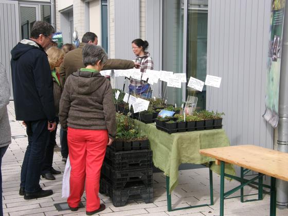 Am 24. März, ab 10 Uhr, im Innenhof der vhs Haar die zweite Pflanzentauschbörse in Haar statt.	Foto: privat