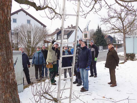 15 Interesierte nahmen beim Baumschnittkurs des Eigenheimervereins Neukeferloh teil.	Foto: privat