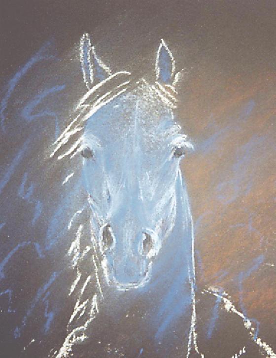 Pferde sind das Lieblingsmotiv der Künstlerin Gudrun Sonntag. 	Foto: Privat