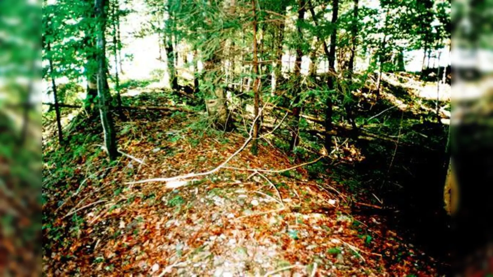 Blick auf Wall und Graben der spätkeltischen Vierecksschanze bei Schammach und eine Laserscanaufnahme (l.) davon. 	 (Foto: Museum der Stadt Grafing/Landesamt für Vermessung und Geoinformation, München.)
