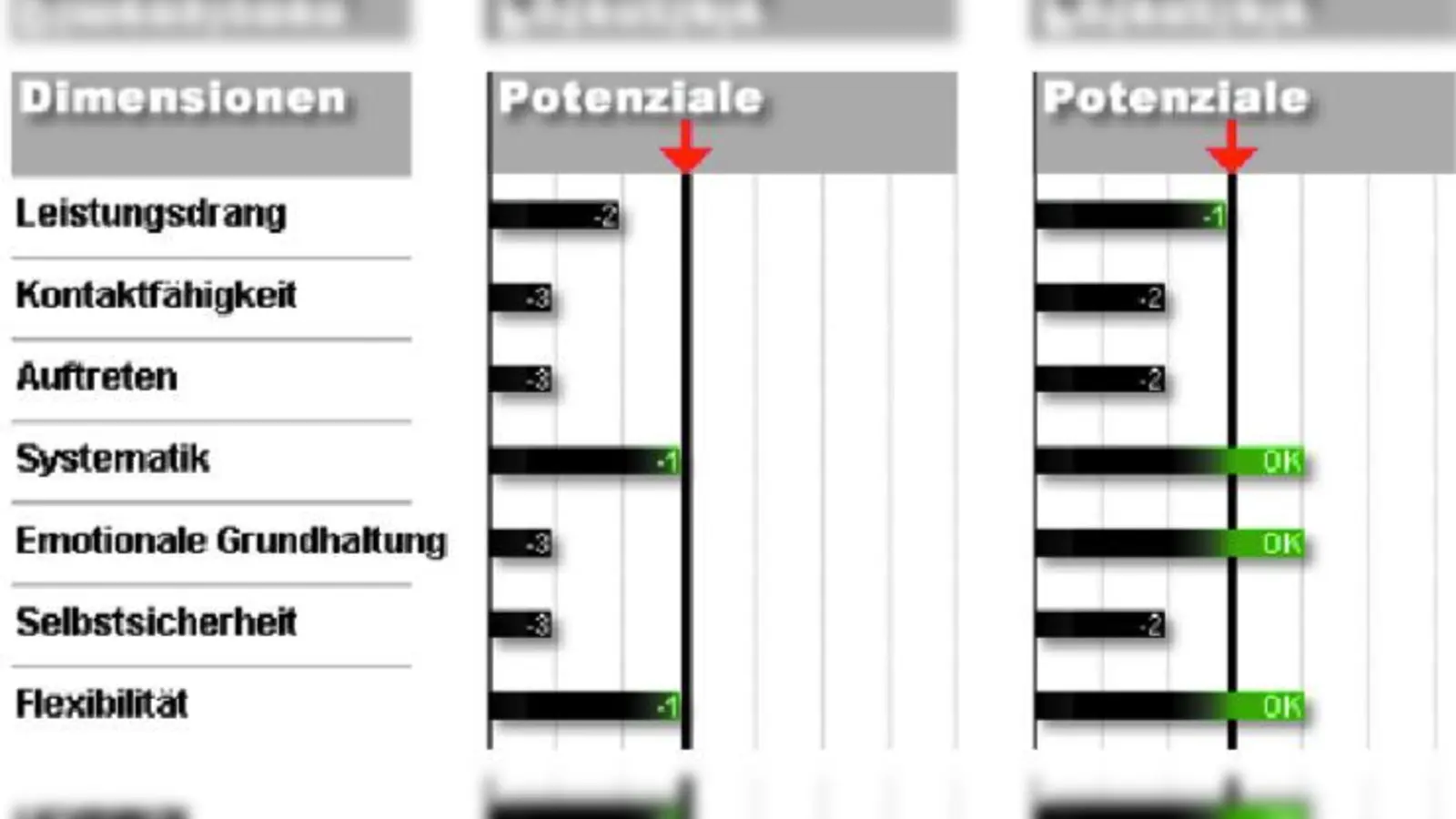 Martins DNLA-Potenzialanalyse „Soziale Kompetenz“ zeigt gute Fortschritte. Links vor dem Coaching, rechts danach. Abgebildet sind alle verbesserten Faktoren. („Schwarz“ bedeutet „Potenziale schwach entwickelt“; „Grün“ bedeutet „Potenziale ok/gut entwickelt“) (Foto: Jagemann)