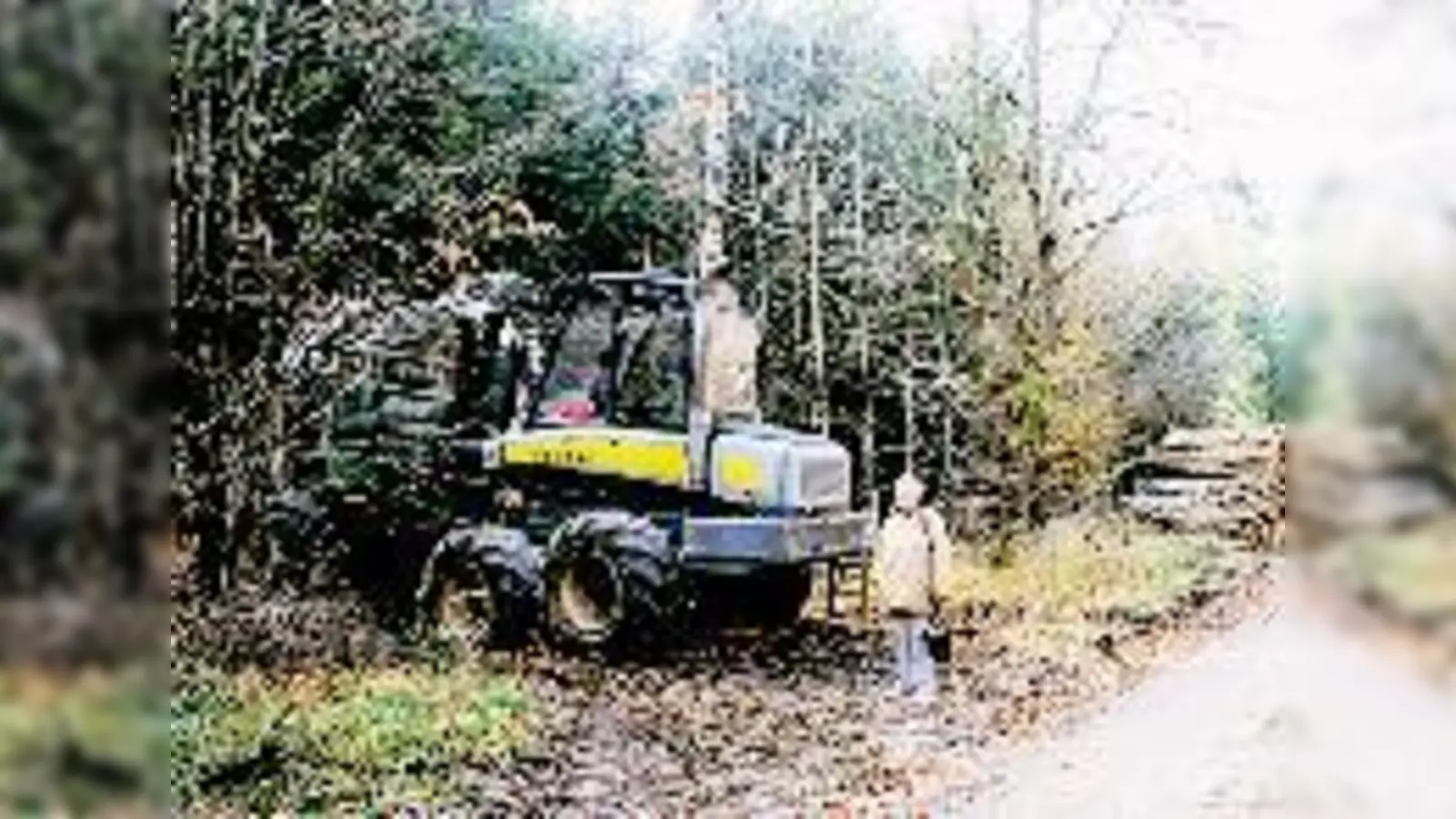 Geschockt von den Schäden, die der »Forwarder« im Waldgebiet des Perlacher/Grünwalder Forstes bereits verursacht hat, ist die Vereinsvorsitzende Inge Hügenell.    (Foto: Verein)