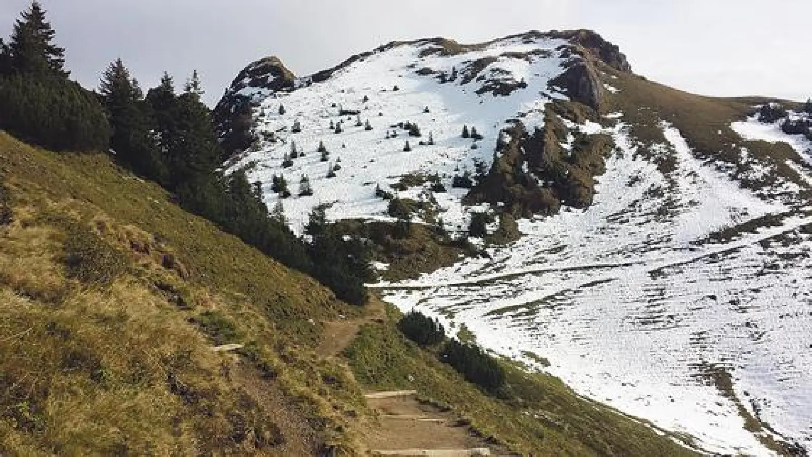 Im November wechseln sich grüne und schneebedeckte Wegabschnitte oftmals ab. 	 (Foto: Stefan Dohl)