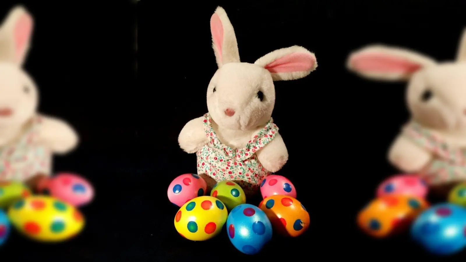 In dieser Ausgabe des Samstagsblatts sind viele bunte Ostereier versteckt. Wer findet alle? (Foto: job)