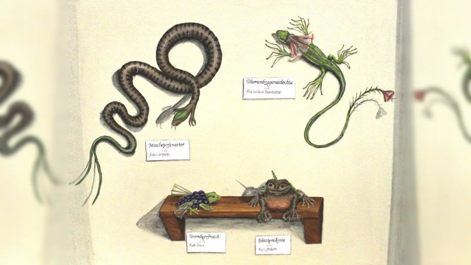 Kuriositätenkabinett: M. Sailer wirft mit ihren Sammlungskästen einen Blick auf die Tierwelt der fernen Zukunft. (Foto: ZSM)