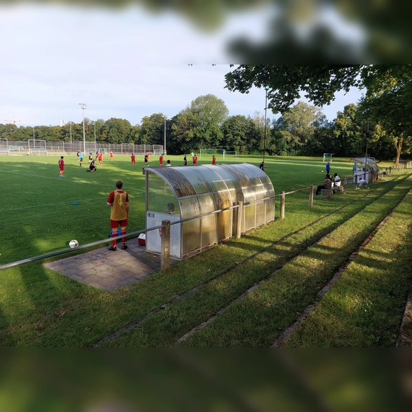 Die Sportanlage an der Aubinger Straße soll modernisiert werden. Hier sitzt unter anderen die TSG Pasing. (Foto: bas)