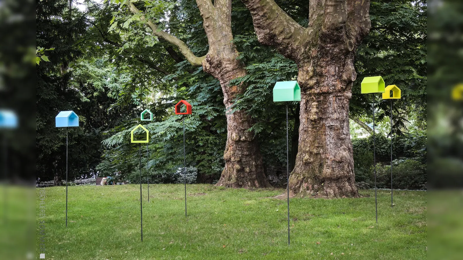 Ob Spatz und Co. darauf fliegen? Moderne Vogelhäuschen. (Foto: Tischlerei Sommer)