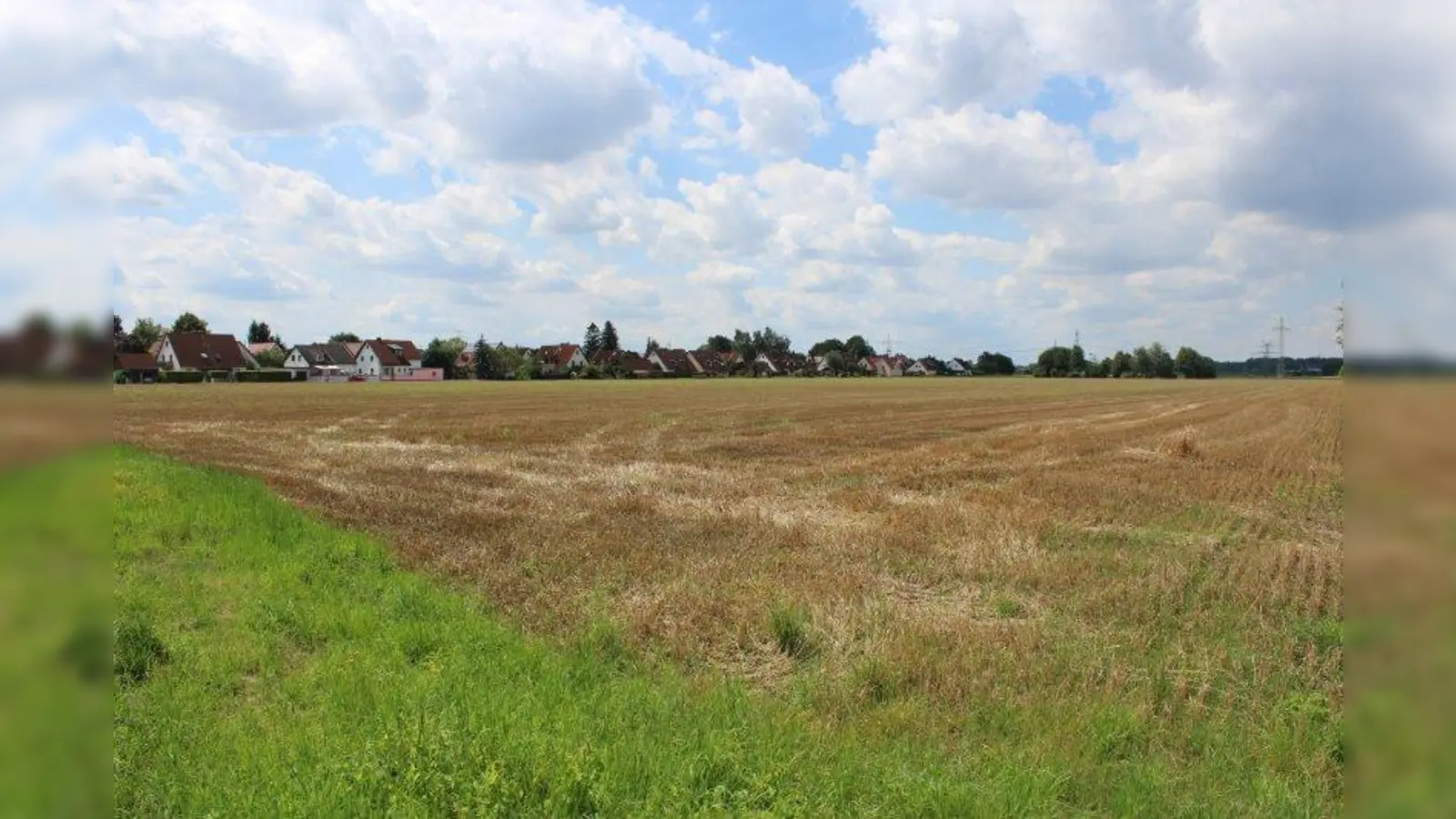 Auf dem Gelände zwischen der Bayernwerkstraße und dem Lärchenweg soll das Gymnasium gebaut werden. (Foto: sb)