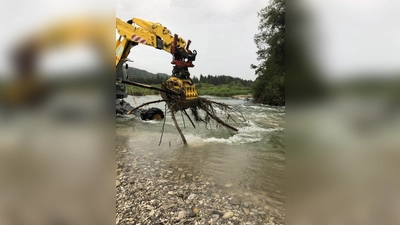 Mit einem Schreitbagger wurde der Baumstamm aus der Isar gehoben. (Foto: Landratsamt München)