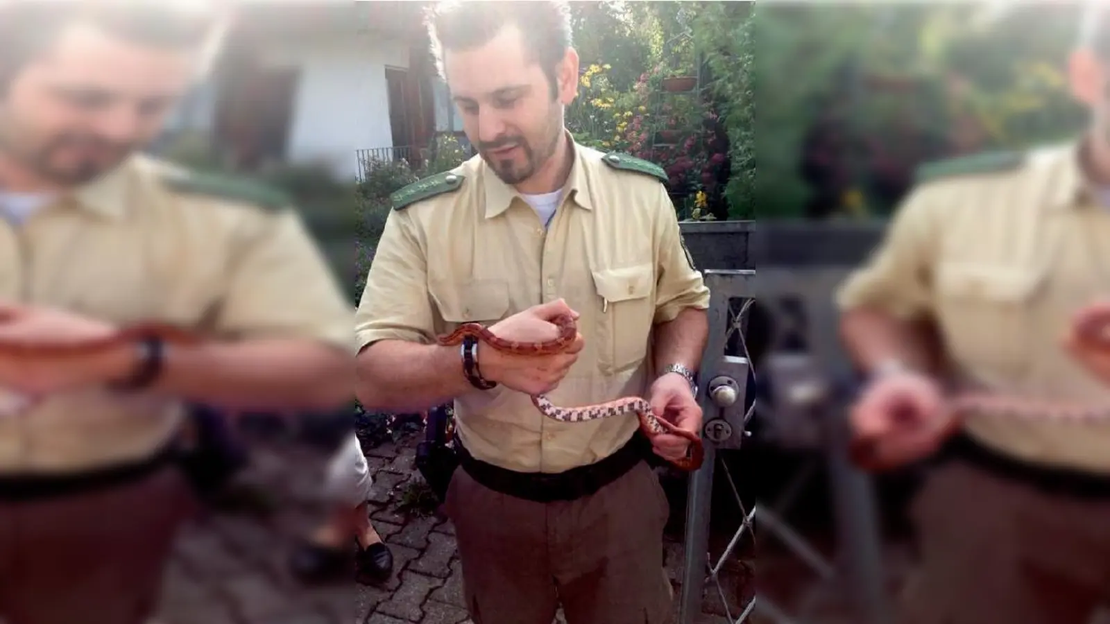Kornnatter wurde von der Polizei aus dem Müll gerettet.	 (Foto: Polizei)