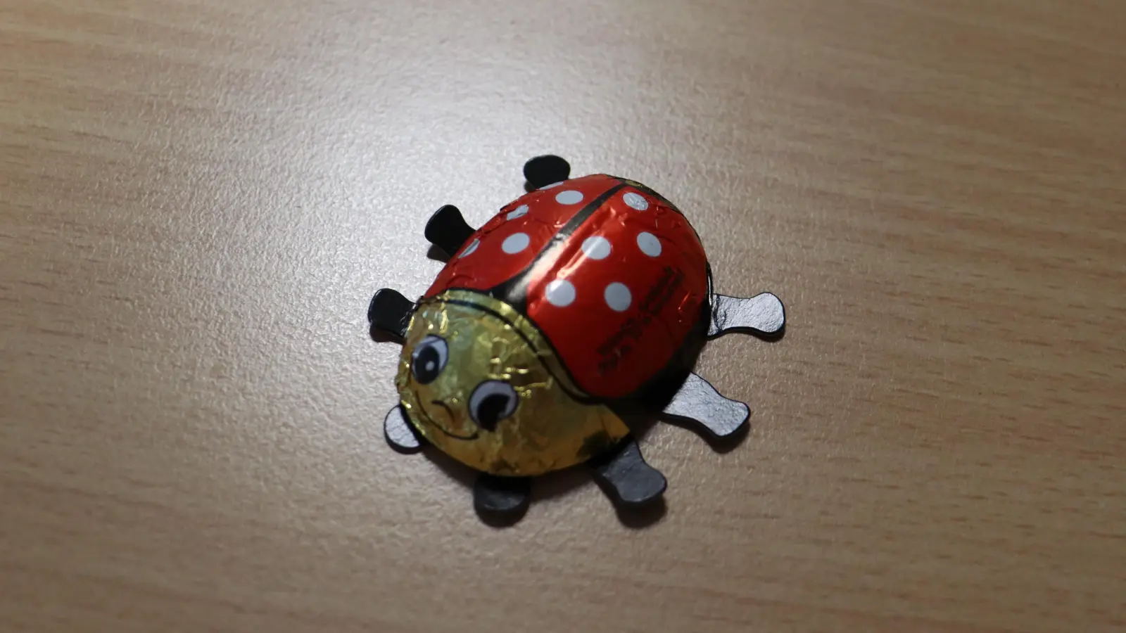 Da bekommt der kleine Marienkäfer Gesellschaft: Im HeideHaus werden alle Arten von Tieren aus Wolle gefilzt.  (F.: mha)