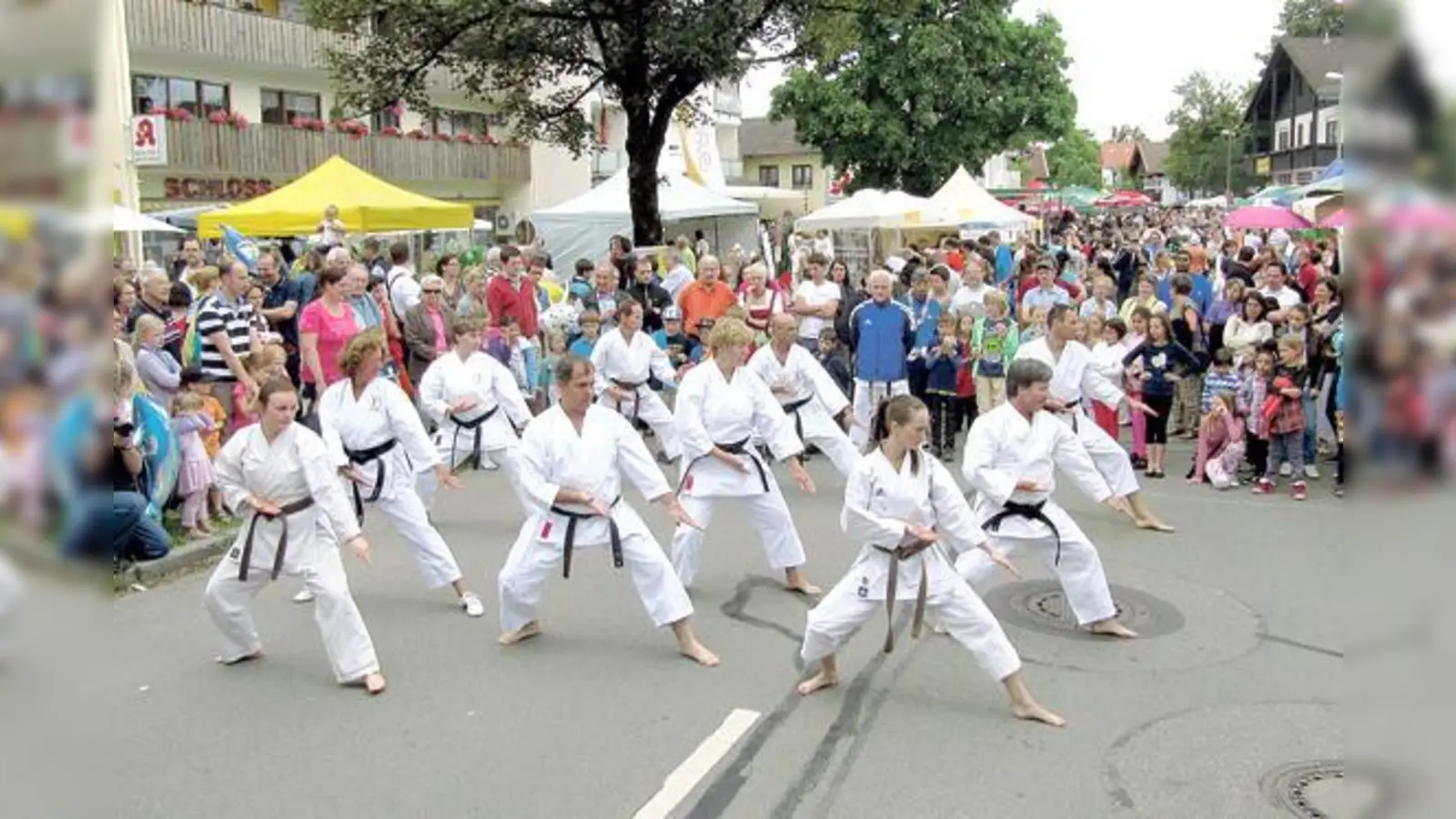 Beim Straßenfest in Höhenkirchen-Siegertsbrunn zeigte die Karate-Abteilung, was sie kann.	 (Foto: VA)
