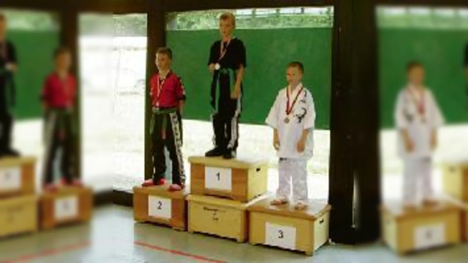 Siegerehrung der World Martial Arts Games in Regensburg: Dominik Meyer holt Titel.	 (Foto: Verein)