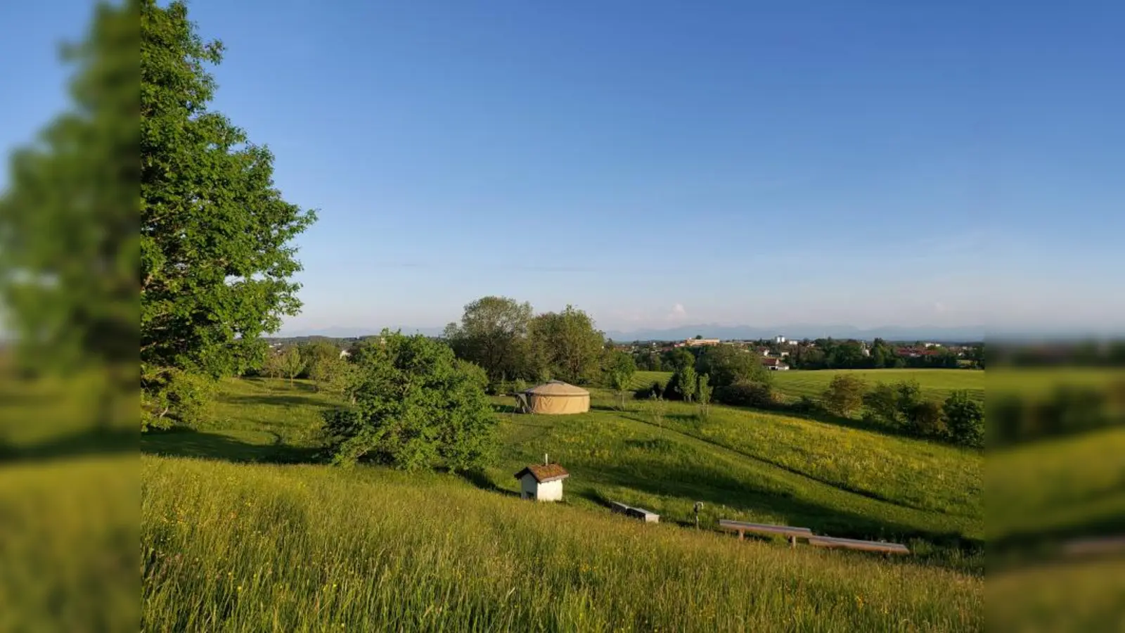 Wie die Eiszeit das Gebiet rund um Ebersberg geprägt hat, erfährt man bei einer Exkursion des Museums Wald und Umwelt. (Foto: Museum Wald und Umwelt)