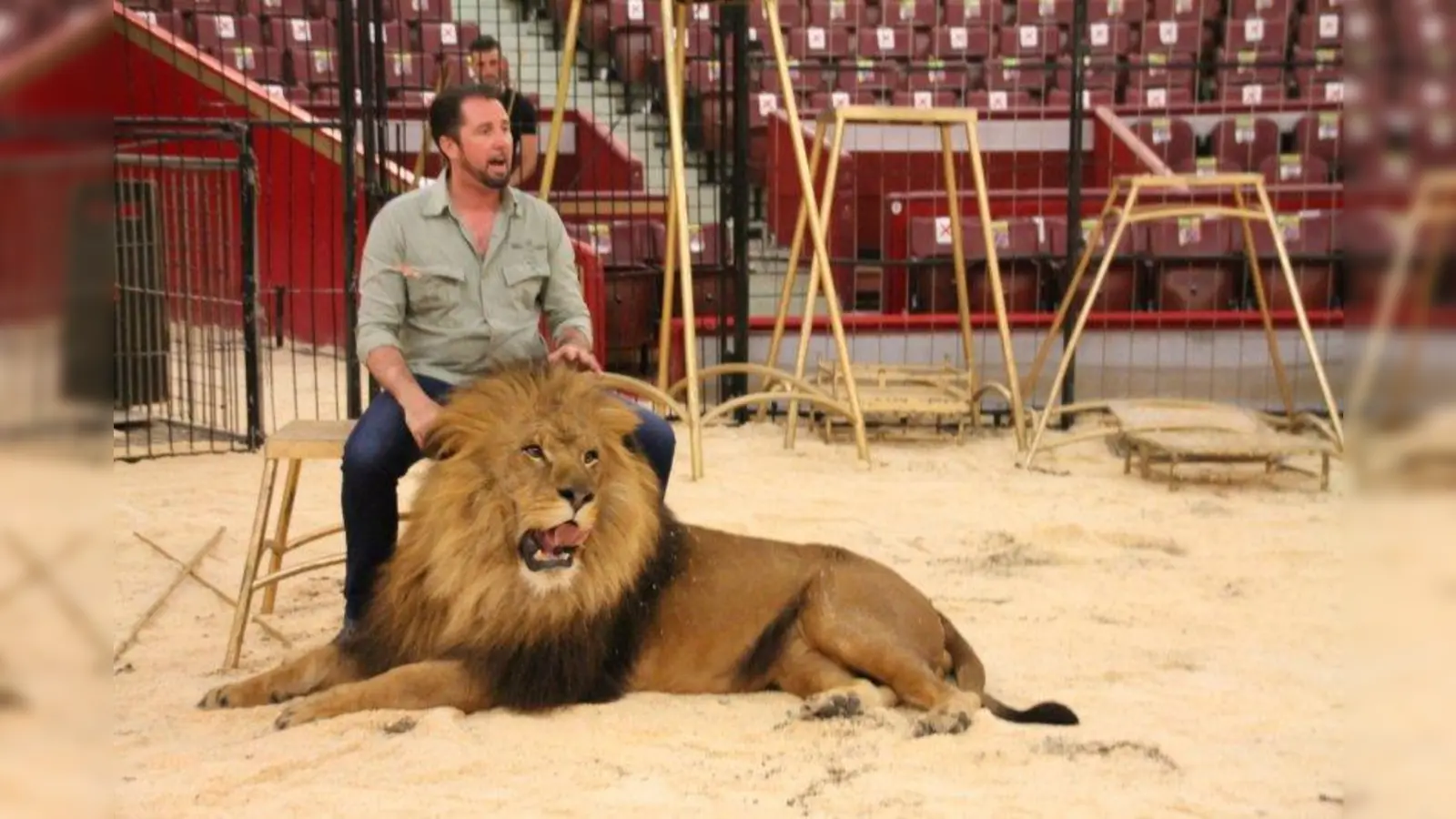 „Ein guter Tierlehrer findet heraus, was seine Tiere gerne machen”, sagt Martin Lacey jr. „Manche mögen nicht springen.” Man müsse die natürlichen Vorlieben fördern. (Foto: bb)